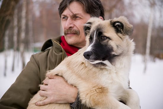 Caring for a puppy: emerging independence - puppies, dogs - TotallyDogsBlog.com
